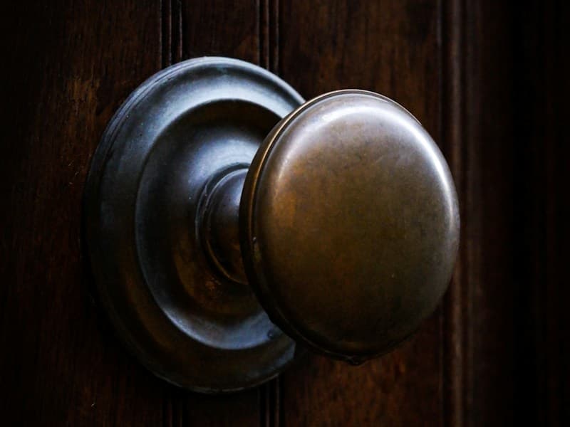 Williamsburg Rosette Door Knob — Door Knob in Satin nickel