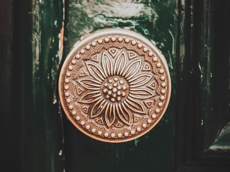 Whiplash Curve Door Knob — Door Knob in Antique brass
